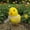 B a, variant on Easter Chick Decor - Cute Family Chicks Plush,Colorful Macaron-Style Mini Chick, Chicken Figurines Decoration For Home Kitchen Office Farmhouse Spring Table Desktop Ornament Home Decor