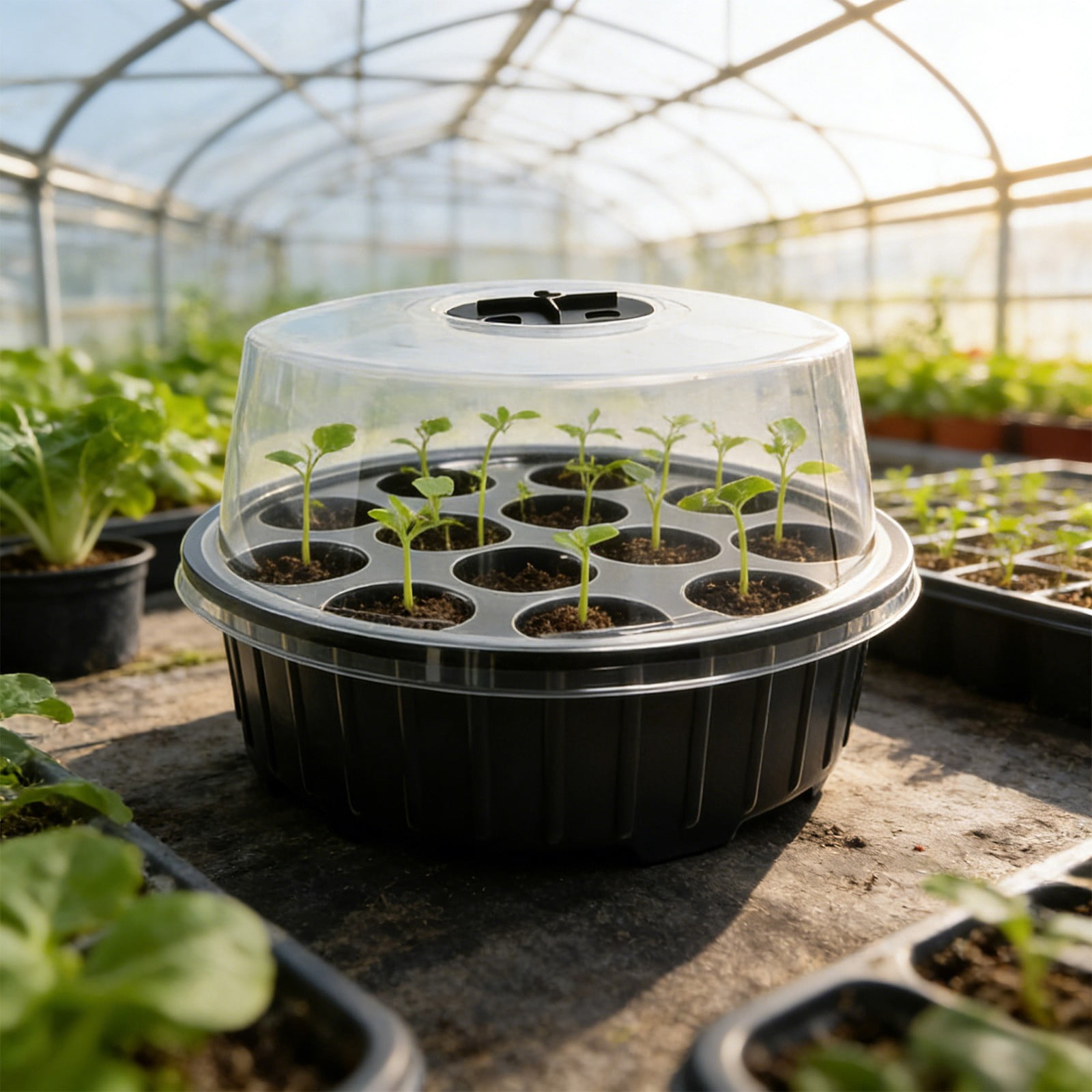 13 Cell Mini Starter Tray with Ventilated Cover, Compact Indoor Garden Kit for Herbs and s, Small Propagation Box with Drainage for Home Planting Projects and Hobbies