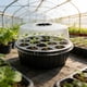 thumbnail image 4 of Kit de iniciación de semillas de 13 agujeros con cúpula de humedad | Ventilación ajustable y tapa transparente | Bandeja de propagación de plástico reutilizable para cultivo de plantas en interior y, 4 of 6