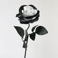 thumbnail image 5 of KeirineCC 1PCS Rose Gothic Dark Artificial Flower,Black and Red Roses Artificial Flowers with Stems,Faux Silk Flowers Bridal Wedding Bouquet,Realistic Blossom Flora for Home,Office Decorations,White, 5 of 8