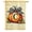 Letter C, variant on America Forever Fall Pumpkin Monogram Letter P House Flag 28 x 40 Inch Double Sided Buffalo Plaid Check Bow Autumn Harvest Seasonal Outdoor Decor