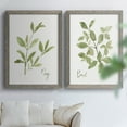 thumbnail image 6 of Herb Sage - Premium Framed Canvas 2 Piece Set - Ready to Hang, 6 of 7
