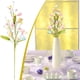 thumbnail image 1 of Guantes de jardinería resistentes | Guantes de trabajo de protección para exteriores | Agarre duradero y resistencia al desgarro | Jardinería, paisajismo, plantación y manejo de herramientas | Uso, 1 of 6