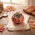 thumbnail image 4 of Halloween Resin Pumpkin Planter, Spooky Flower Pot for Indoor Outdoor Home Decor, 4 of 6