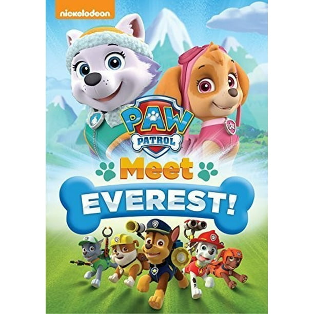 Elektriker Skælde ud Betjening mulig Paw Patrol: Meet Everest! (DVD) - Walmart.com
