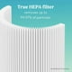 thumbnail image 2 of Filtro de aire Bionaire Aer1 Performance Plus True HEPA, paquete de 1, 2 of 5