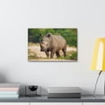 thumbnail image 4 of Majestic White Rhino Art Majestic White Rhino Print Animal Wall Art Wildlife Canvas Prints Wall Art Ready to Hang Unframed, 4 of 18