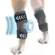 thumbnail image 1 of Dog Hind Leg Brace: Hock & Ankle Support for Torn ACL & CCL, Canine Rear Leg Joint Compression Wrap - Injury Protection, Arthritis Relief, Wound Care, 1 of 5