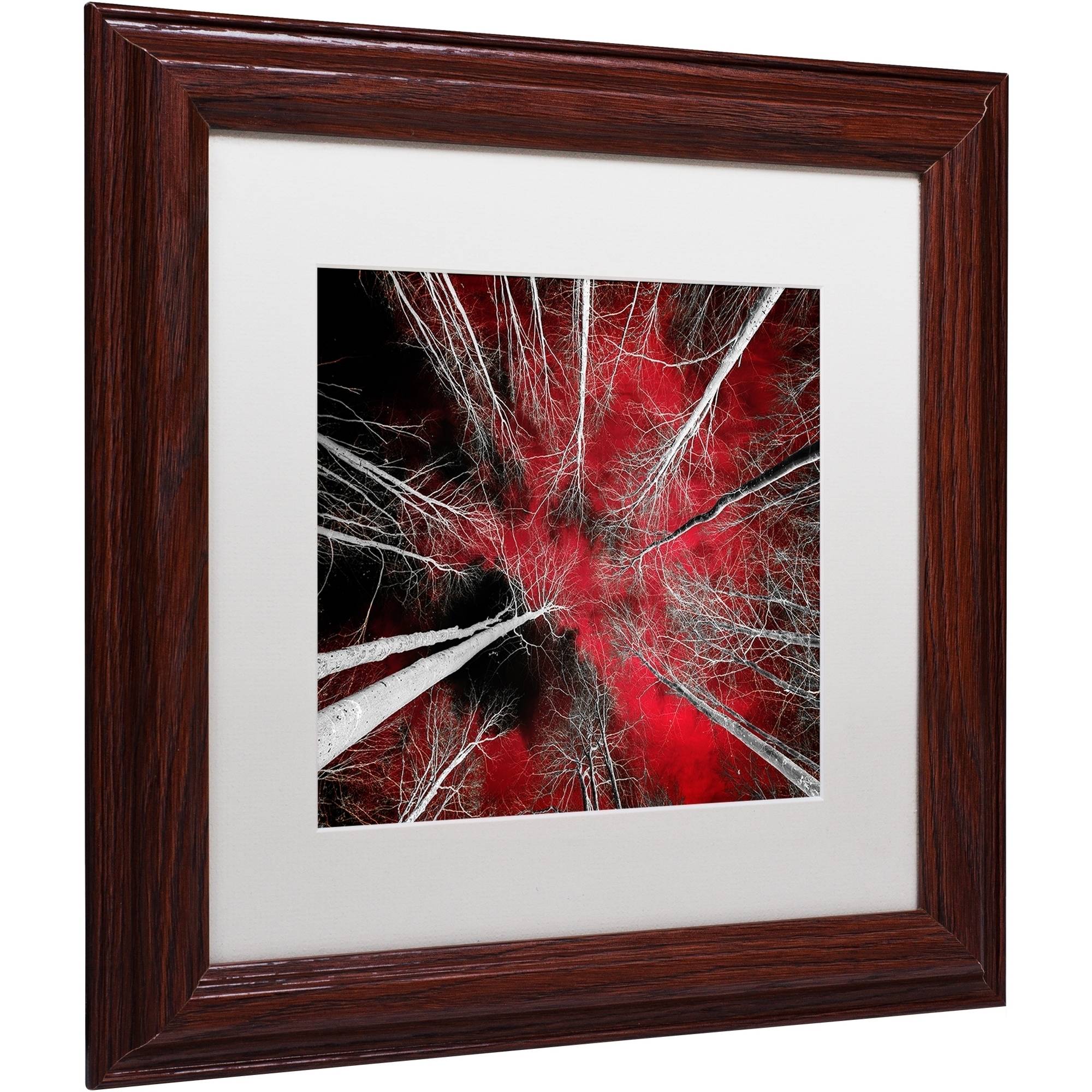 Trademark Fine Art "I Can't Believe It" Canvas Art by Philippe Sainte-Laudy White Matte, Wood Frame
