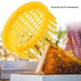 thumbnail image 4 of Sonew 6 Pcs Queen Bee Rearing Box Cell Beekeeping Equipment, Beekeeping Equipment, Beekeeping Tools, 4 of 9