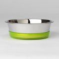 thumbnail image 1 of Petrageous Maui Stainless Steel Bowl, 1 of 1