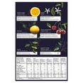 thumbnail image 2 of Four O'Clock Tea Gift Set | Loose Leaf Tea Sampler with Mugs | Premium Tea Lover Gift, 2 of 5