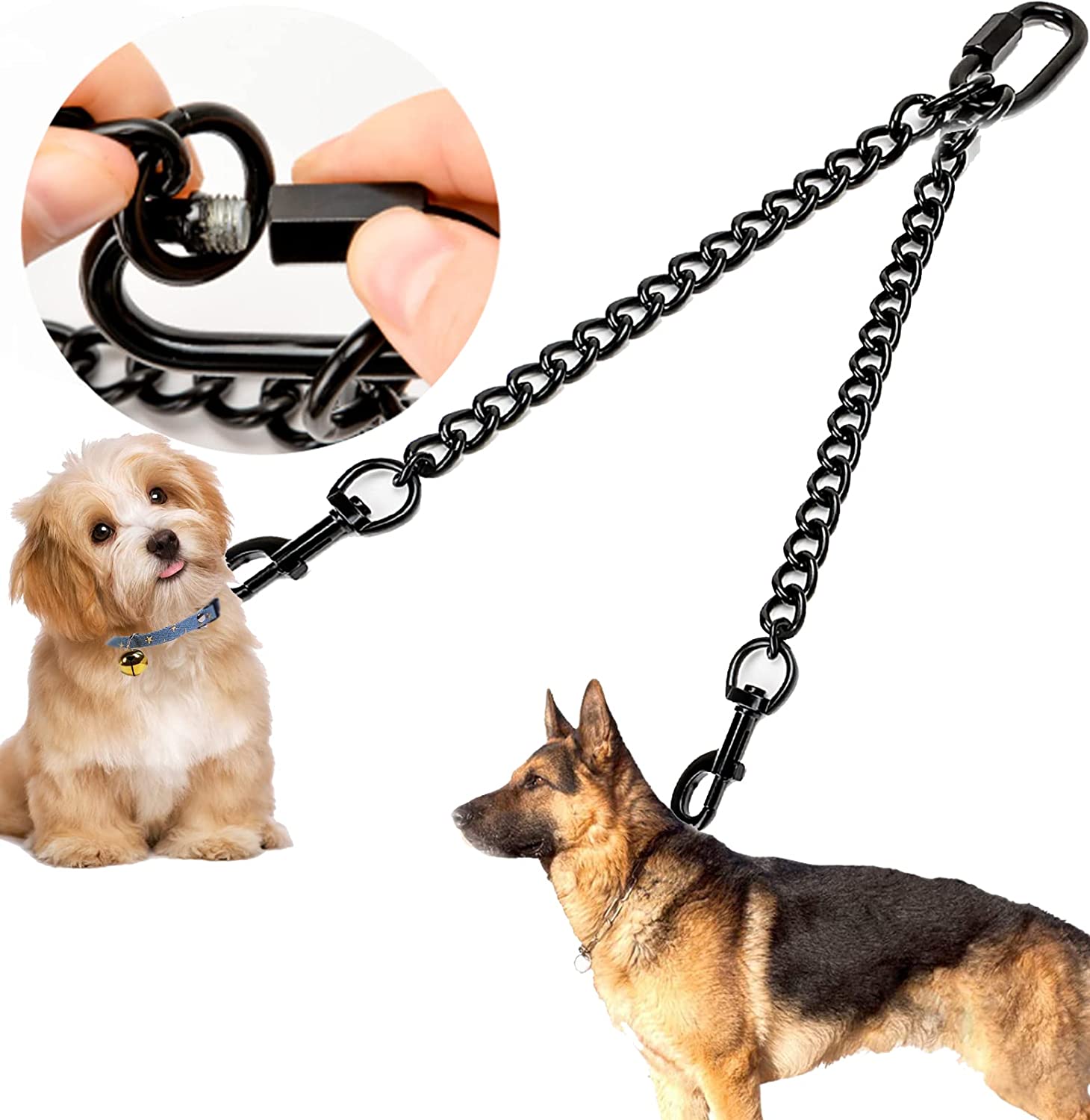 2 dog walking leash