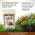 thumbnail image 4 of Old Cobblers Farm™ Wicked Growth 5-10-10 Fertilizer - Multi-Use Fertilizer, 20lbs, 4 of 11