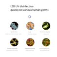 thumbnail image 4 of 1pc Nueva lámpara LED esterilizadora  de 3W 3.7V con imán Gloria Lámpara de luz esterilizante UV, 4 of 8