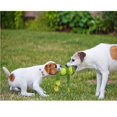 thumbnail image 4 of Jouet pour Chien Qui Parle, Frog, 4 of 4