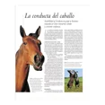thumbnail image 3 of Libro Enciclopedia Definitiva Del Caballo Lexus Enciclopedia Definitiva, 3 of 4