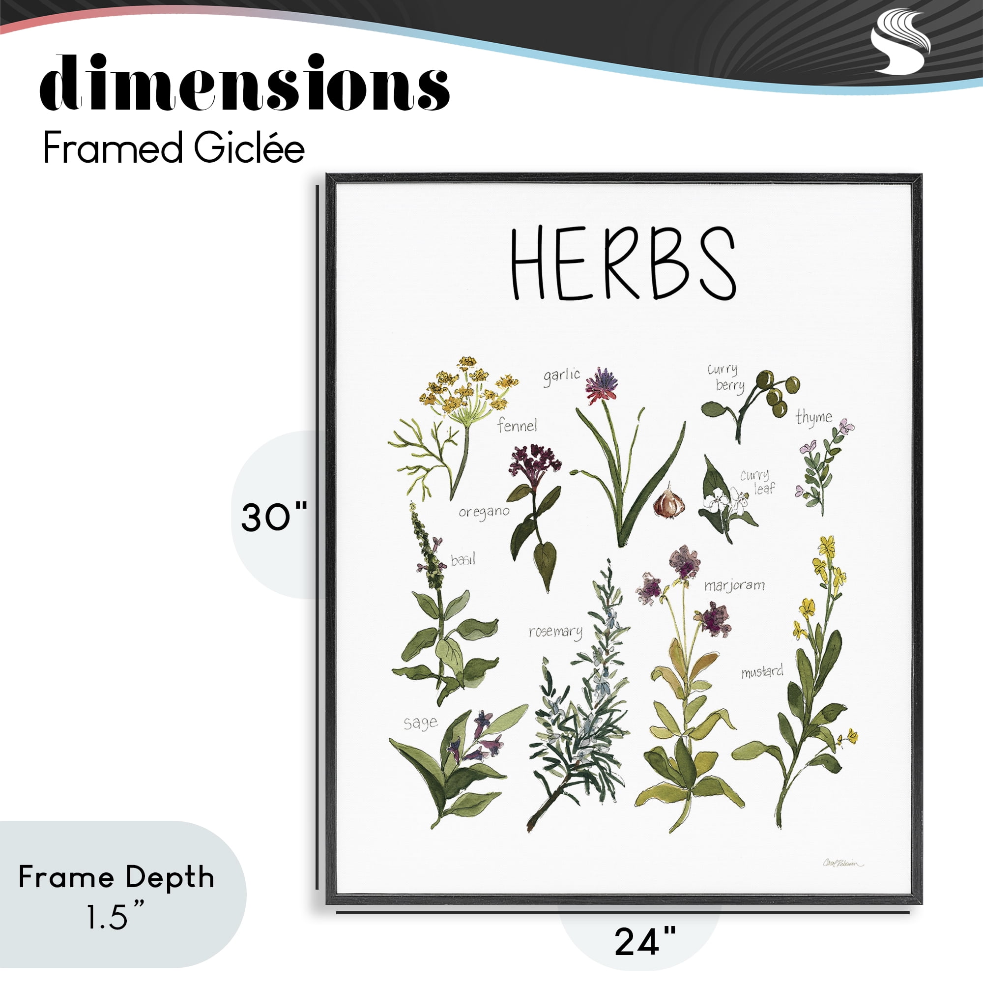 Stupell Industries Herbs Identification Chart Black Framed Giclee Art, design by Carol Robinson