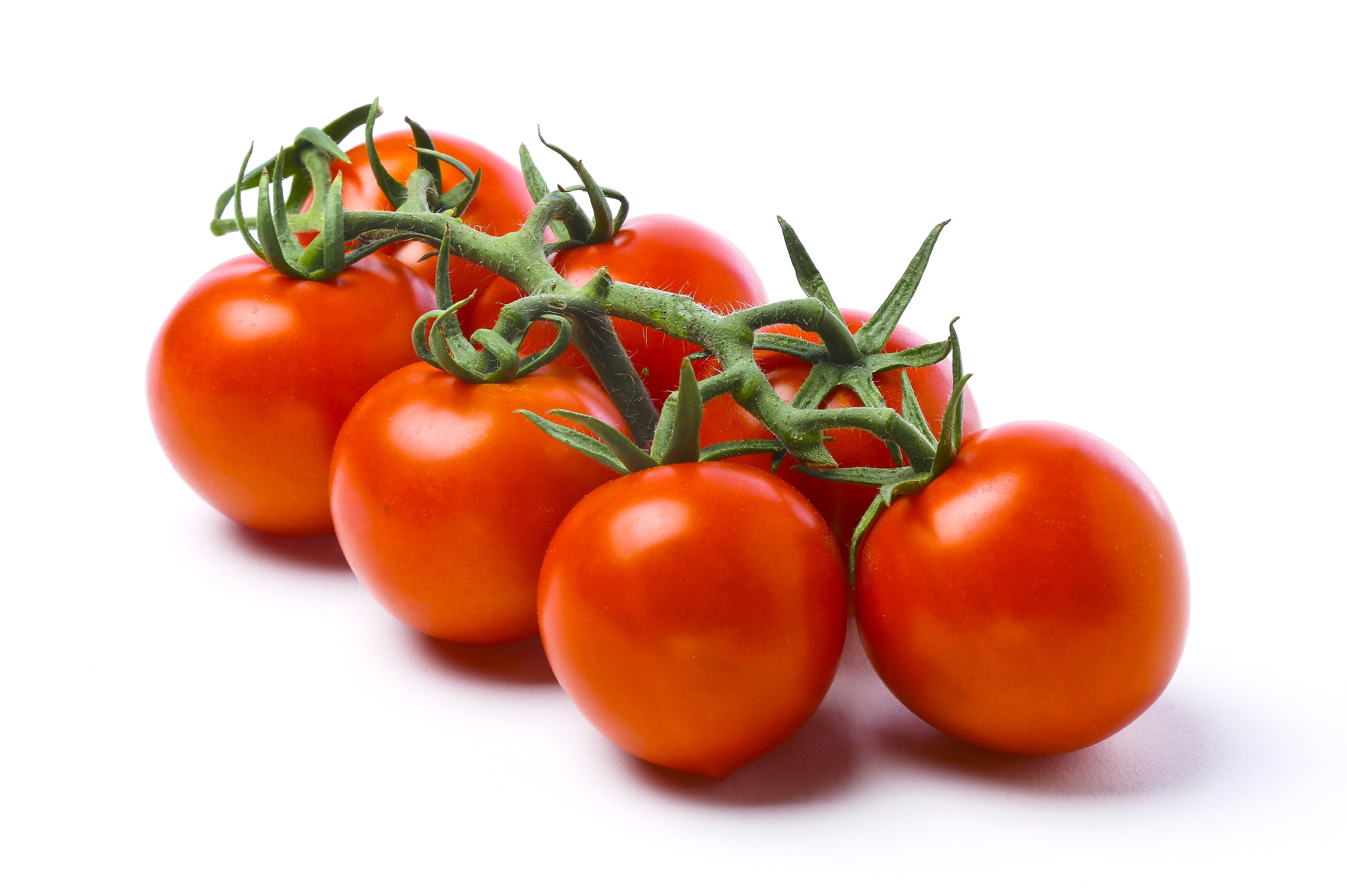 Fresh Cocktail Tomato, 1 lb Package