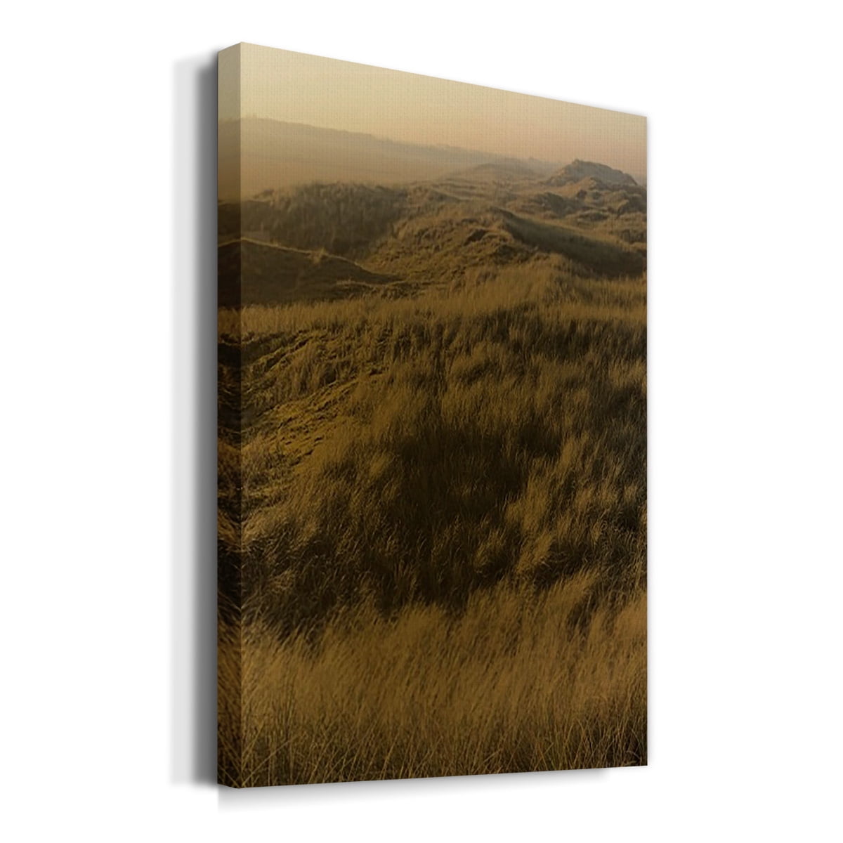 Golden Fog I Premium Gallery Wrapped Canvas - Ready to Hang
