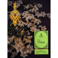 thumbnail image 5 of SCUS Perfunes - Royal Musk 12 ML, 5 of 5