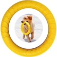 thumbnail image 2 of Anillo de fitness para perros, equipo de ejercicio de agilidad para perros, anillo de entrenamiento interactivo de tira y afloja para perros pequeños y grandes, 2 of 5