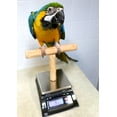 thumbnail image 4 of Parrot Scale - Parrot Wizard NU Perch Parrot Training Scale for Weighing Birds, 4 of 4