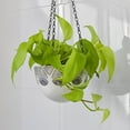 thumbnail image 4 of Hanging Chain Chains with Hooks Plant Iron Built God Tough Basket Birdcage 6 Pcs, 4 of 6