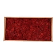 thumbnail image 2 of facefd Natural Dried Reindeer Moss Treated Immortal moss Crafts DIY Floral Decor Red, 2 of 5