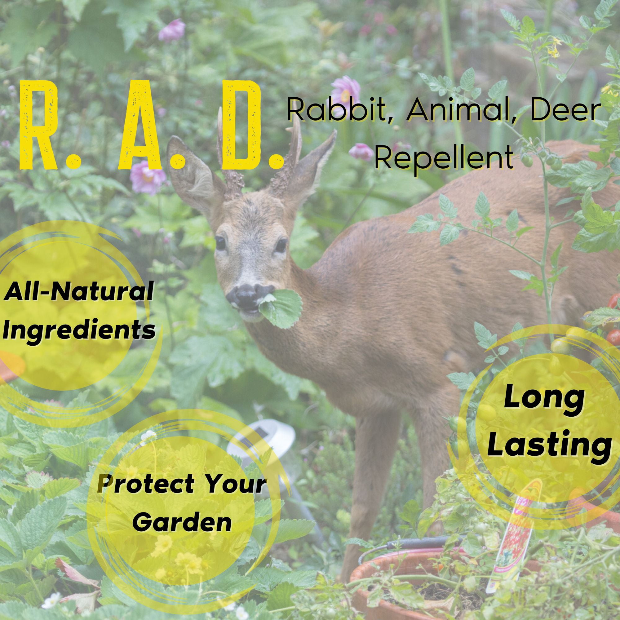 R.A.D. - Rabbit, Animal, Deer Repellent Concentrate/Gallon Bundle; All-Natural Money Saving Repellent; Protect Gardens, Flower Beds and Lawns