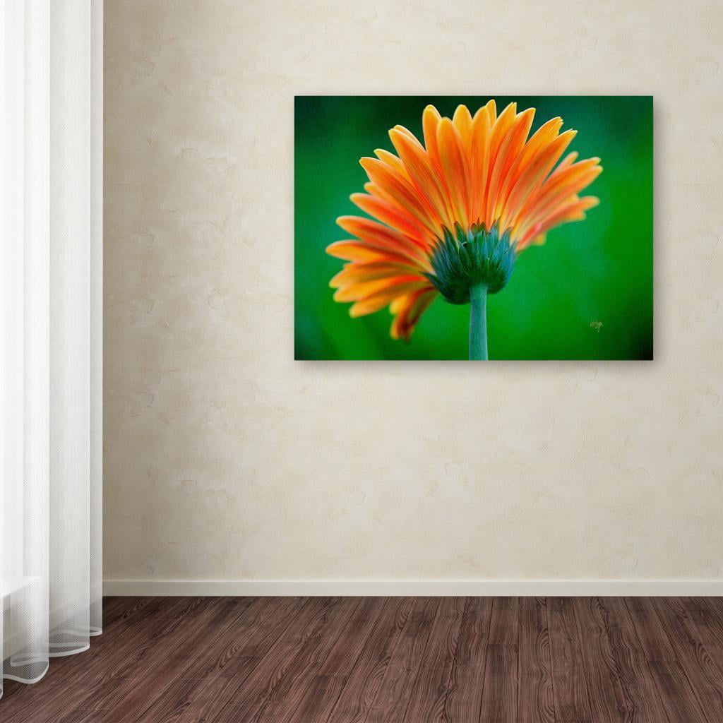 Trademark Fine Art "Orange Burst" Canvas Art by Lois Bryan