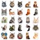 thumbnail image 5 of Pegatinas de vinilo Maine Coon con diseño de grafiti, resistentes al agua, 50 unidades, 5 of 5