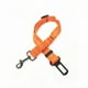 thumbnail image 1 of Correa para perro Methold Naranja Suministros para perros, 1 of 6