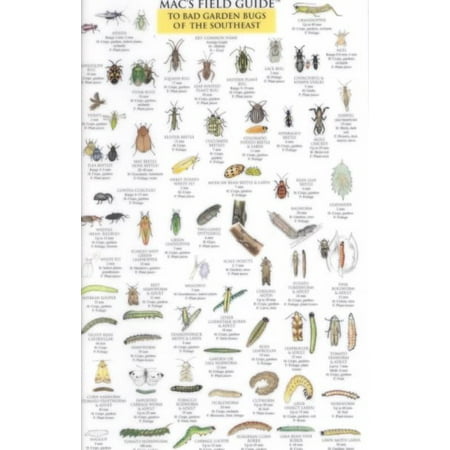 Mac S Field Guide To Bad Garden Bugs Of The Southeast Walmart
