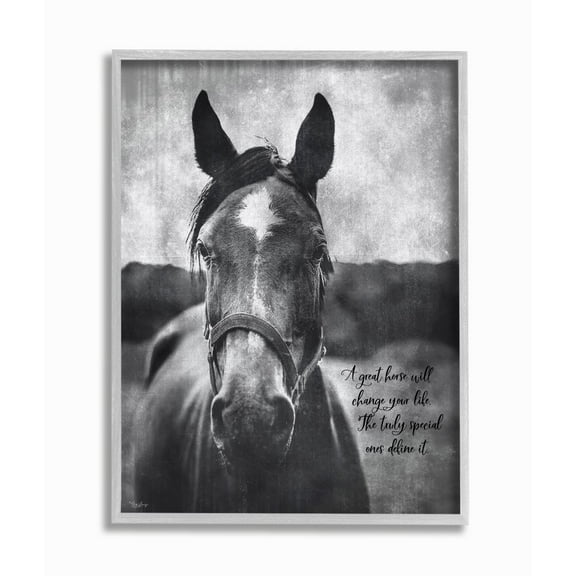Stupell Industries A Great Horse Inspiring Word Farm Design Graphic Art Gray Framed Art Print Wall Art, 11x14, by Gigi Louise