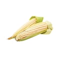 thumbnail image 1 of Elote Amarillo por pieza, 1 of 1