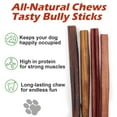 thumbnail image 2 of Bully Sticks for Dogs, 6 inch, 50 Pieces Long-Lasting Beef Chews for Small, Medium & Large Breeds, Low Odor, 2 of 8