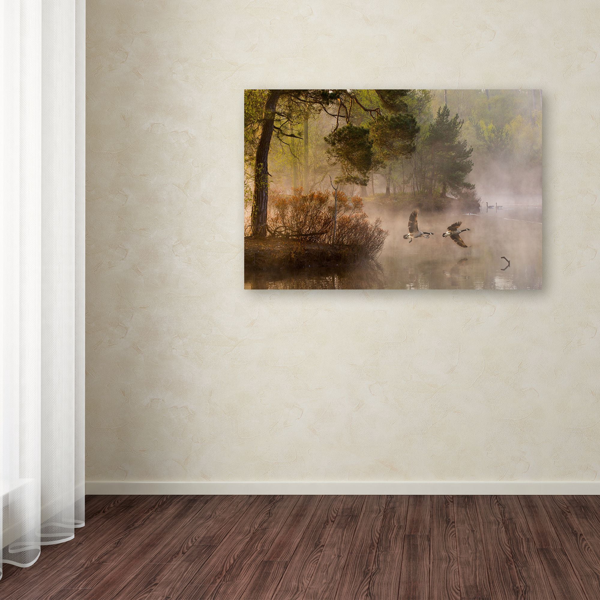 Anton Van Dongen 'Goose Fight' Canvas Art