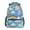 Cartoon Rainbow and Cloud, variant on School Backpack Lightweight Multipocket College High Middle Student Bag 15L Rainbow Lines