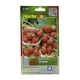 thumbnail image 1 of Pack De 2 Semillas De Fresa Hortaflor 15-20 Cm, 1 of 2