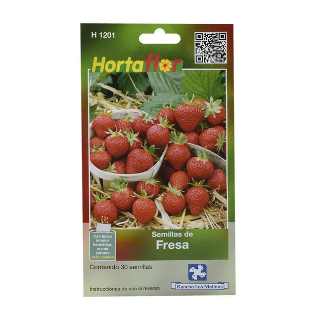 Pack De 2 Semillas De Fresa Hortaflor 15-20 Cm