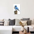 thumbnail image 5 of ZHONGYUTONG Blue Bird Wall Art Canvas Bird Pictures Wall Decor White and Blue Sparrow Painting for Bathroom Bedroom Decor Framed (12.00" x 18.00"), 5 of 5