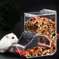 thumbnail image 4 of Clear Automatic Hamster Feeder For Hamster Guinea Pigs Rabbit Food Dispenser Plastic Pet Food Bowl Container Hamster Accessories ShopWise Round, 4 of 8