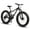 Black, variant on 26 Inch Fat Tire Mountain Bikes, 21 Speed 4-Inch Wide Fat Tire, for Mens Womens Bicycles