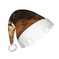 thumbnail image 2 of Fuzoiu Cool Fire Lion Print Santa Hat Christmas Hat for Adults,Santa Hats with Pompom, Unisex Xmas Holiday Hat for Christmas New Year Festive Party Supplies, 2 of 6
