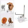 thumbnail image 3 of Estante de soporte de exhibición de acrílico duradero para fósiles, minerales, rocas, , cristal, , coleccionables - L multi CUTICAT soportes de exhibición, 3 of 8