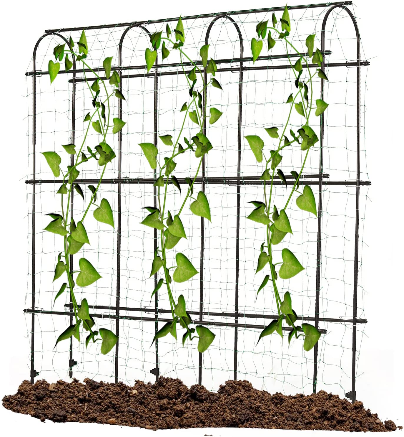 Garden Trellis for Climbing Plants Outdoor, Metal A Frame Trellis Plant