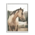 thumbnail image 3 of Stupell Industries Serene Countryside Landscape Brown Horse Portrait , 11 x 14, Design by Leah Straatsma, 3 of 5