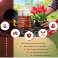 thumbnail image 4 of Plantonix Worm Bliss Premium Organic Worm Castings - 4 Quarts, 4 of 5