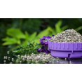 thumbnail image 3 of Miracle-Gro Shake N Feed Ultra Bloom Plant Food - 2.04kg, 3 of 6